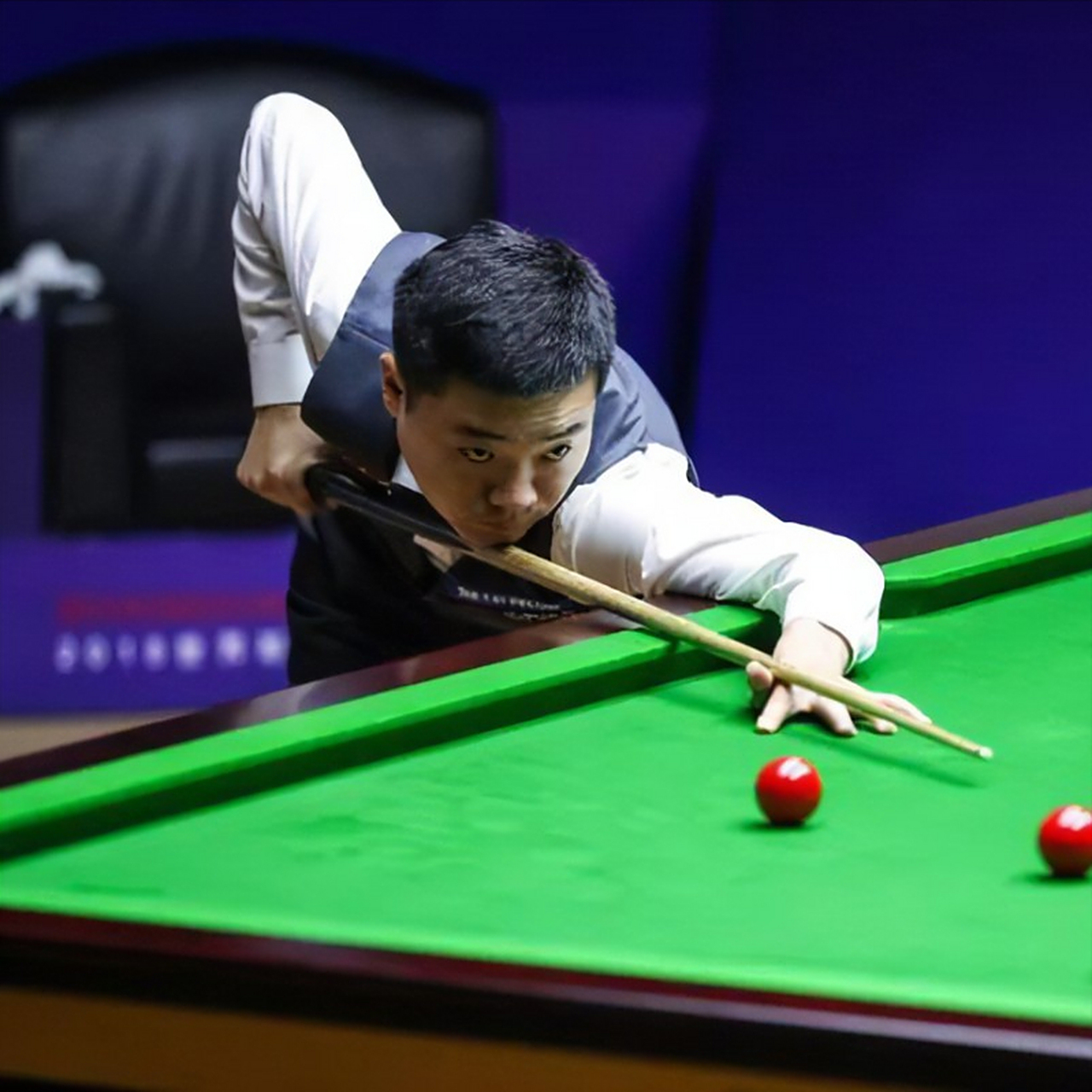 的中坚力量 的中坚力量