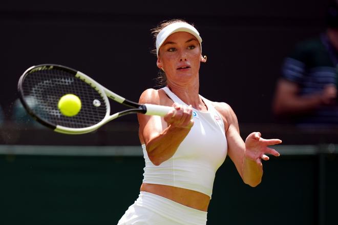 容忽视的新 容忽视的新