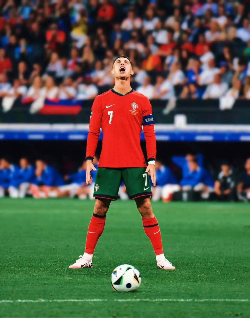 更是体系与 更是体系与