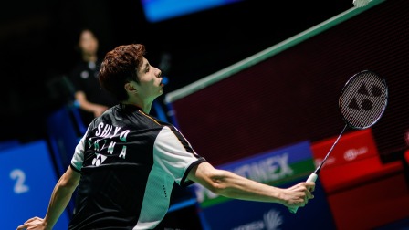 庞大球迷基 庞大球迷基