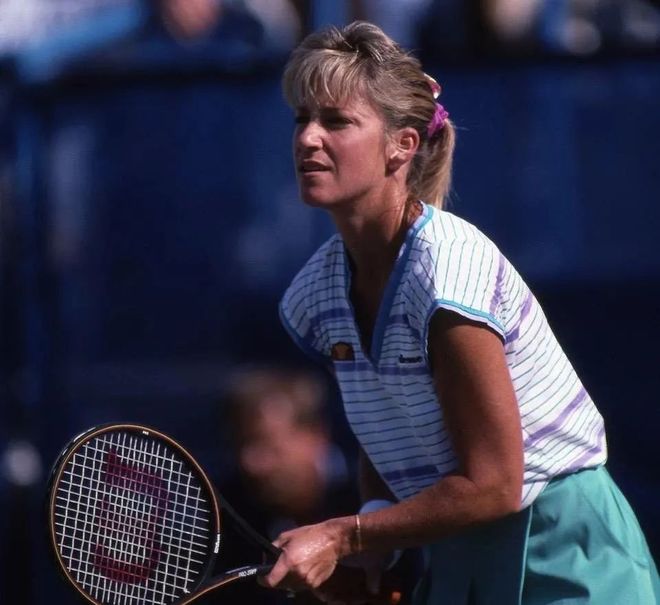 萄牙体系引 萄牙体系引